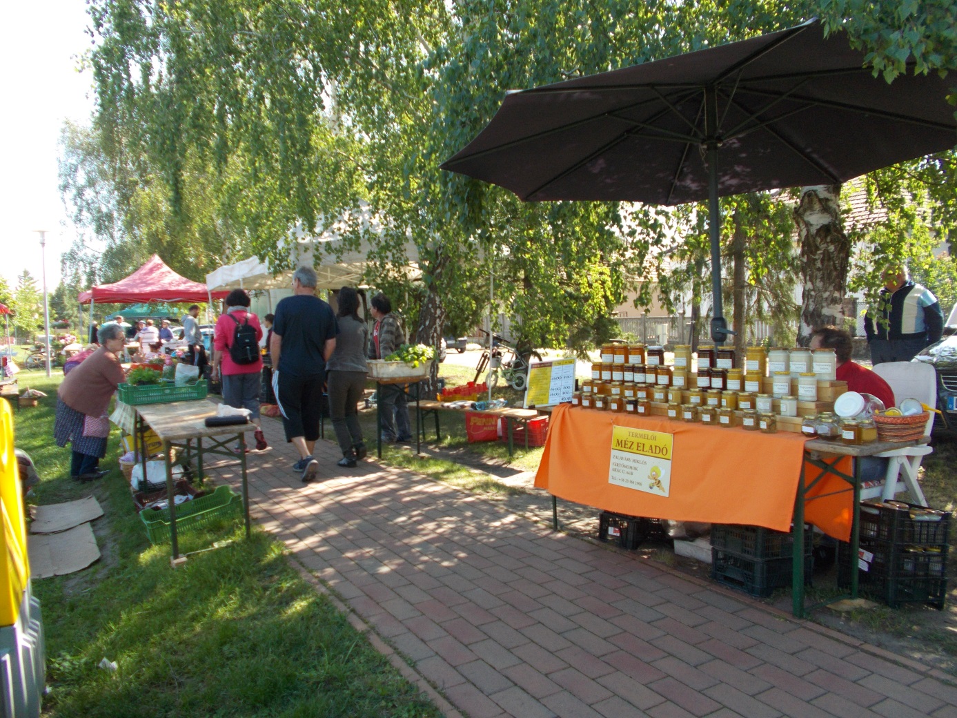 Hegykői Termelői Piac